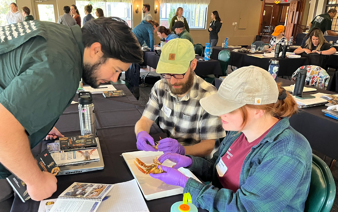 Crayfish anatomy workshop.jpeg
